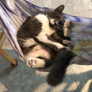 Meet your Posher, Phoebe